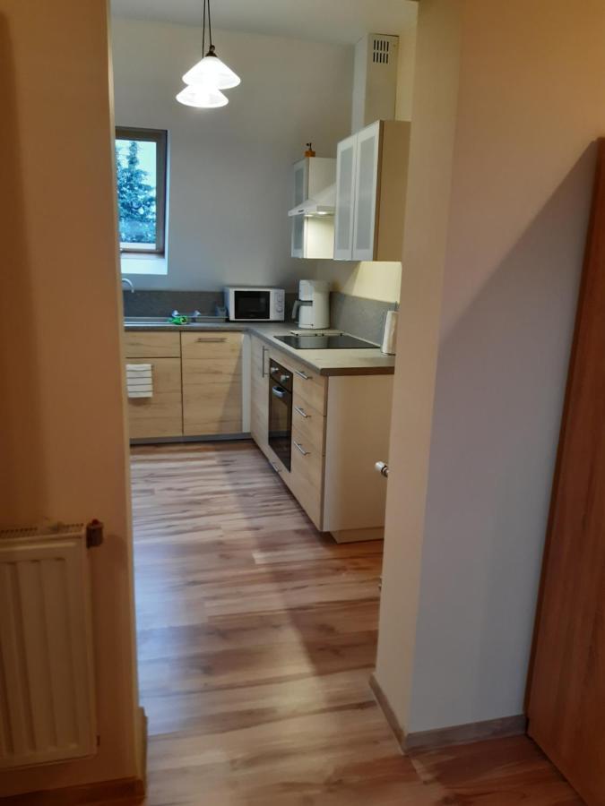 Apartamenty Nad Wisla Skawina Extérieur photo