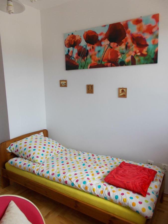 Apartamenty Nad Wisla Skawina Extérieur photo