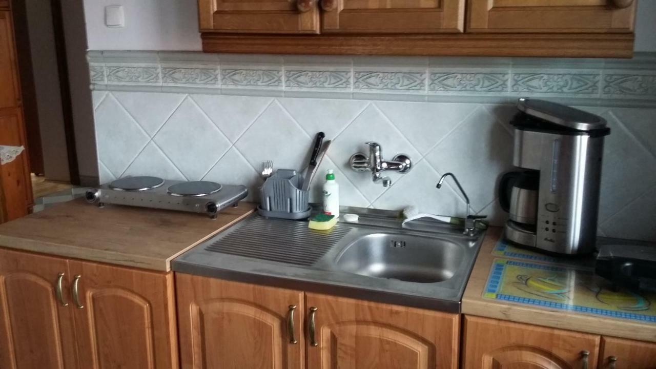 Apartamenty Nad Wisla Skawina Extérieur photo